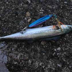 ライトゲームで4目